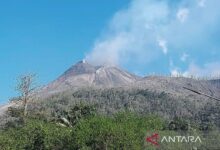 Mengenal Gunung Lewotobi lalu catatan letusannya