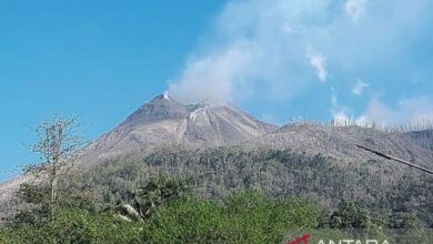 Mengenal Gunung Lewotobi lalu catatan letusannya