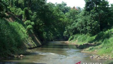 22 September Hari Sungai Sedunia, simak sejarahnya