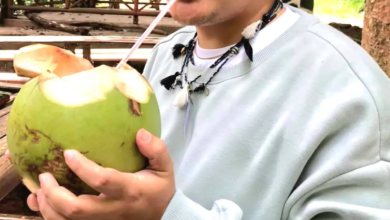 manfaat minum air kelapa