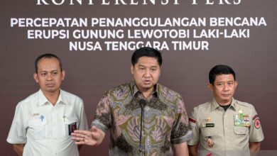 Harta kekayaan Menteri PKP Marurar Sirait berdasarkan LHKPN