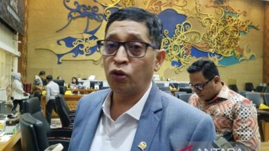 Rincian harta Bob Hasan, Ketua Badan Legislasi DPR