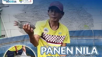 Budidaya Ikan di area pada Teluknaga Langkah Dukung Ketahanan Pangan Lokal