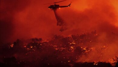 Teknologi Maju Negeri Paman Sam Tidak Bisa Menaklukkan Alam yang digunakan Membakar California lalu juga LA