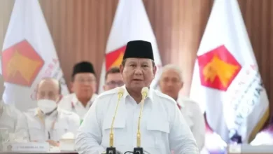 Jawaban Prabowo Didorong Gerindra Maju Pilpres 2029: Insya Allah