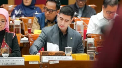 Raker dengan Mendikti Saintek, Verrell Minta Anggaran Tukin Dosen Tak Dipotong