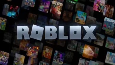Dituding Jadi Surga Predator Seksual, Hal ini adalah Reaksi Roblox