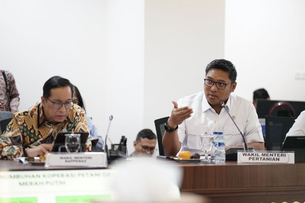 Wamentan: Penghapusan kuota impor agar tak ada monopoli