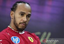 Bos Ferrari akan beri dukungan penuh ke Hamilton