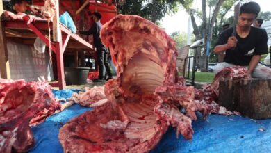 Kenali tanda daging tidaklah segar agar terhindar dari keracunan