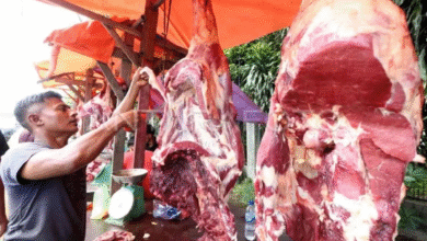 Cara mudah bedakan daging sapi segar kemudian yang mana dimaksud tak layak konsumsi