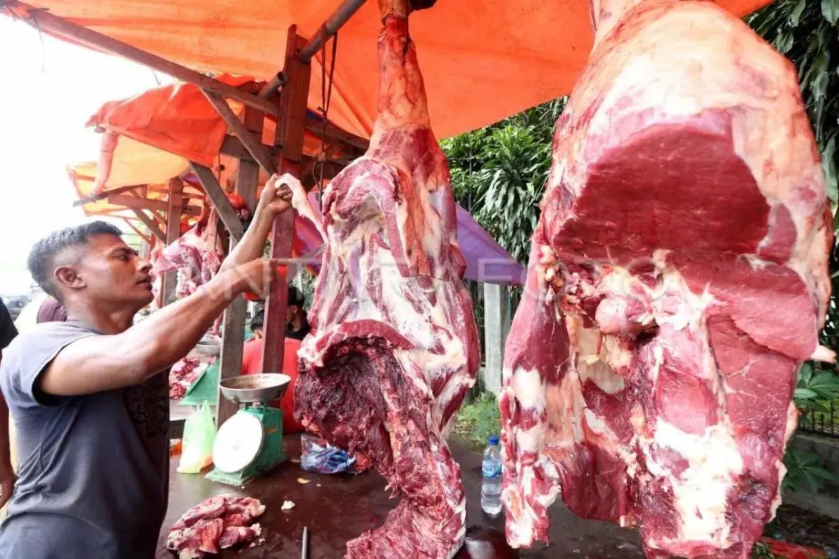 Cara mudah bedakan daging sapi segar kemudian yang mana dimaksud tak layak konsumsi