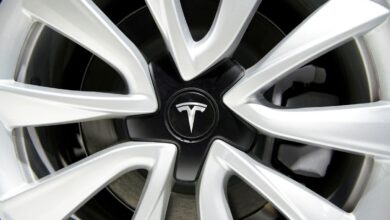 Tesla diwartakan siapkan SUV Model Y lebih tinggi besar lapang untuk bursa China