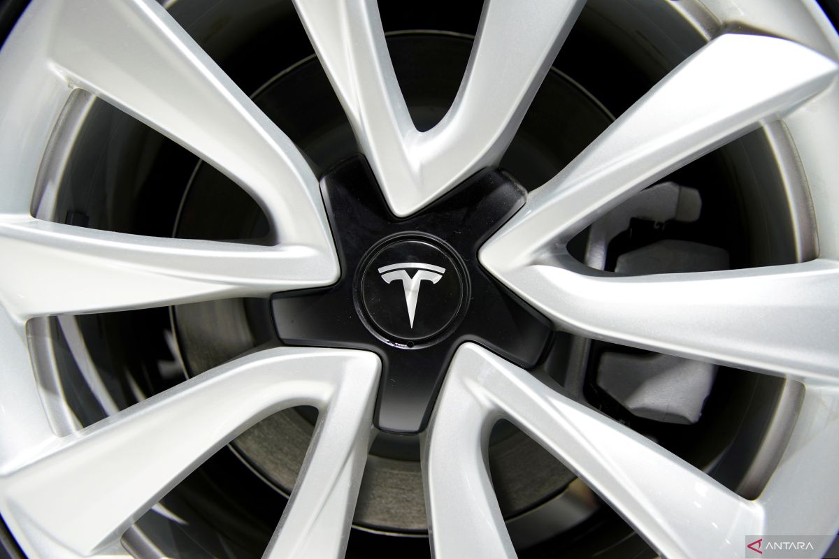 Tesla diwartakan siapkan SUV Model Y lebih tinggi besar lapang untuk bursa China
