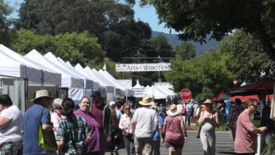 Ekspor “wine” California anjlok pada sedang ketegangan perdagangan
