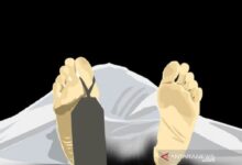 Polisi tangkap pelajar yang tersebut mana bacok rekannya usai mabuk di tempat tempat Tanjung Priok