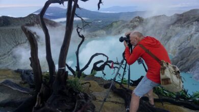 pemerintahan melakukan reformasi untuk mengembangkan pariwisata