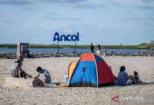 Ancol raih pendapatan Rp1,26 triliun sepanjang 2024