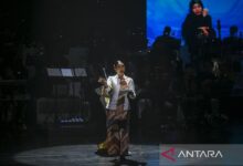 Mengenal jenis-jenis puisi kemudian unsur-unsur yang mana dimaksud membentuknya
