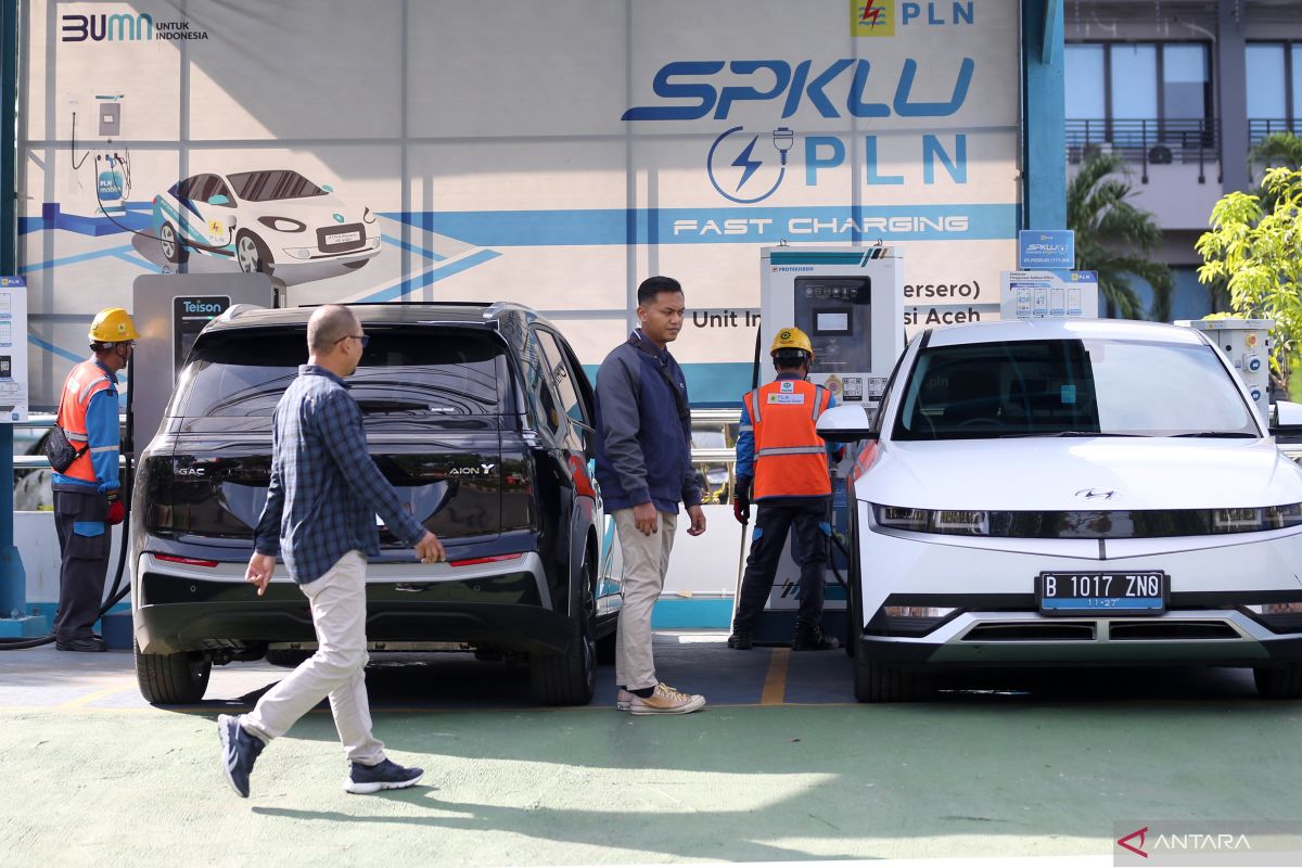 Komunitas Indonesia inginkan mobil listrik berukuran tambahan besar