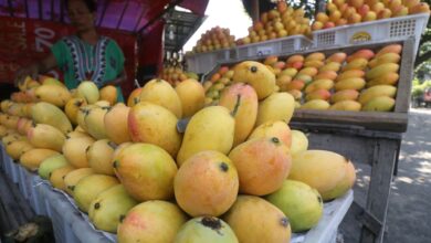 7 buah kaya penangkal radikal untuk jaga kondisi tubuh serta juga cegah penyakit kronis