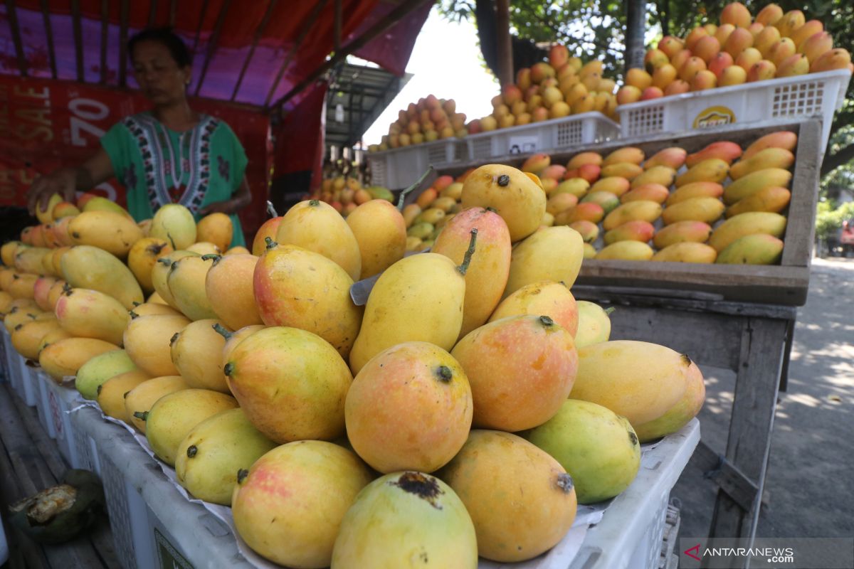 7 buah kaya penangkal radikal untuk jaga kondisi tubuh serta juga cegah penyakit kronis