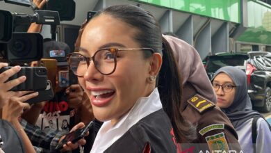 Nikita Mirzani hadiri sidang pembacaan dakwaan di PN Jaksel