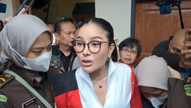 Nikita minta Presiden Prabowo luruskan hukum pada area Indonesia