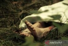 Polisi masih tunggu hasil autopsi jasad yang digunakan dimaksud mengambang pada Penjaringan