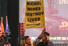 Polisi bebaskan aktivis Greenpeace akibat tak ada unsur pidana