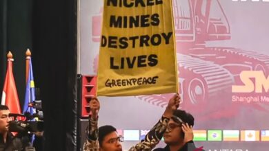 Polisi bebaskan aktivis Greenpeace akibat tak ada unsur pidana