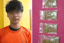 Bawa 5,65 gram tembakau gorila, Remaja 18 tahun diamankan polisi