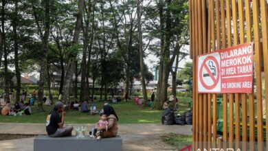 Dilema Ranperda KTR: antara dunia bidang usaha juga kemampuan fisik penduduk