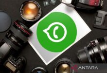 Mengenal WhatsApp Business juga WhatsApp Mesengger biasa untuk pemula
