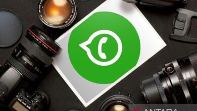 Mengenal WhatsApp Business juga WhatsApp Mesengger biasa untuk pemula