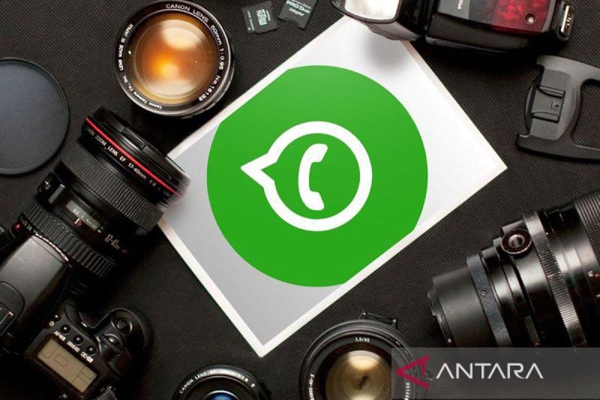 Mengenal WhatsApp Business juga WhatsApp Mesengger biasa untuk pemula
