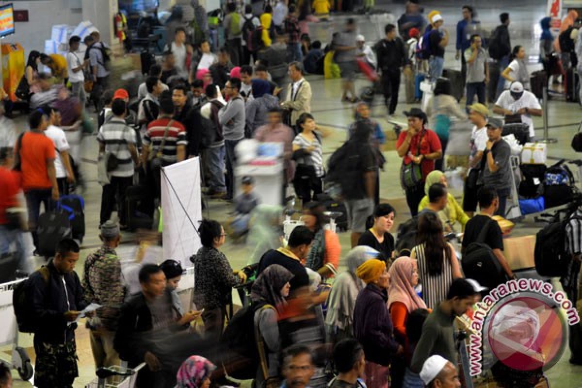 5 aplikasi mobile mobile pelacak penerbangan terbaik untuk pantau jadwal pesawat