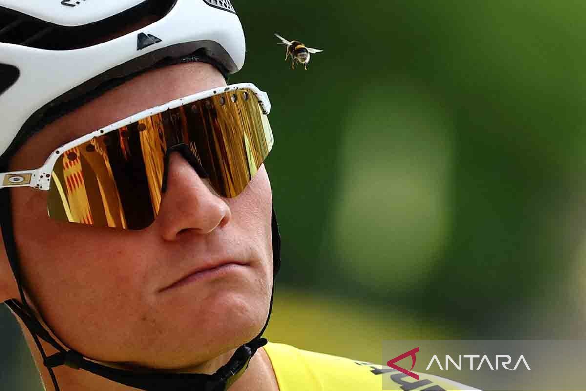Mathieu van der Poel mundur dari Tour de France 2025 oleh sebab itu pneumonia