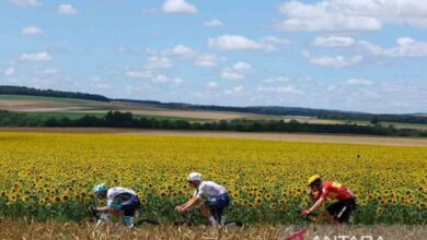 Pembalap tuan rumah Paret-Peintre menangi etape 16 Tour de France