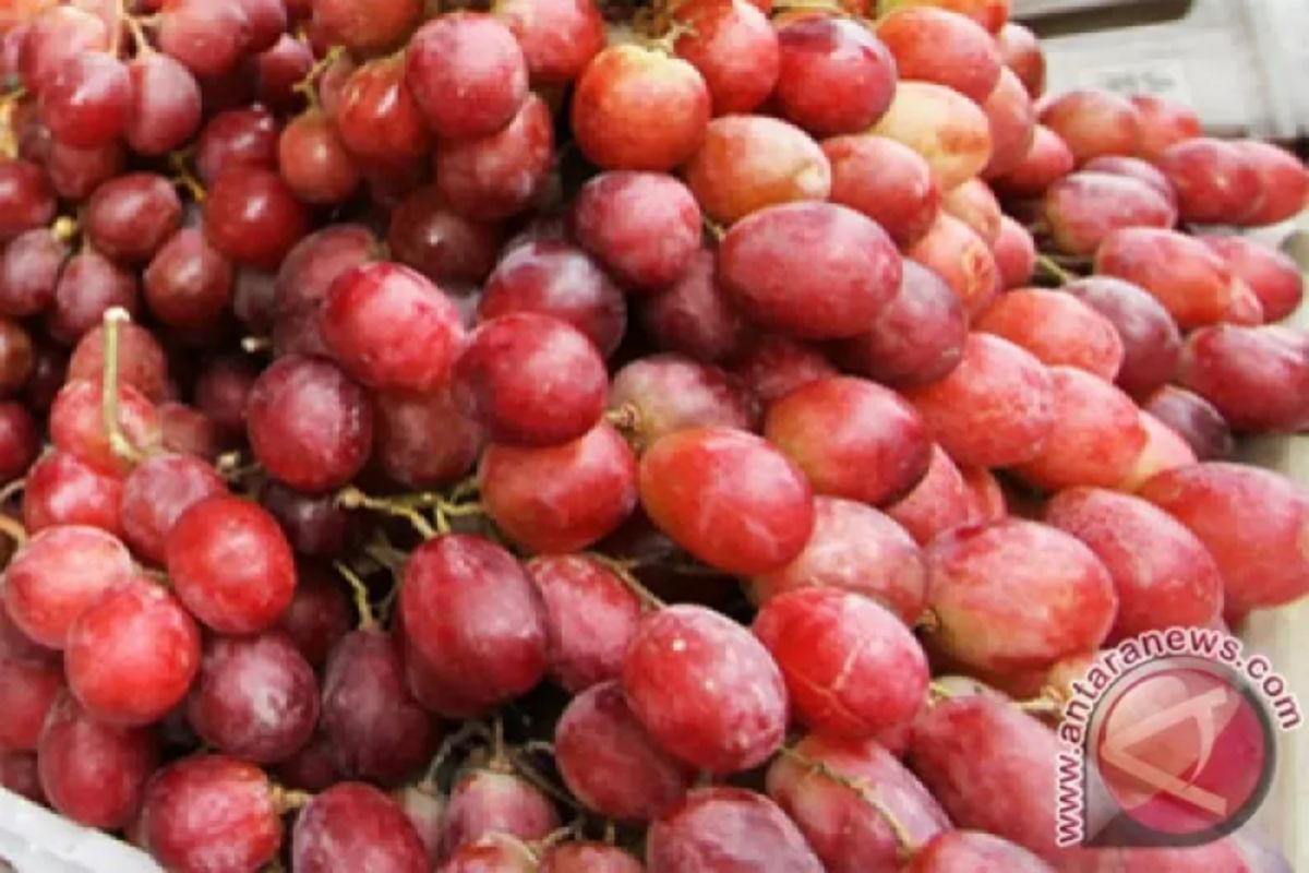 8 kegunaan buah anggur merah untuk kesehatan, termasuk cegah tumor ganas