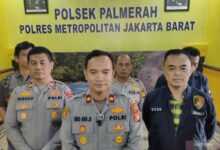 Kronologi ibu kandung buang bayi ke semak-semak di dalam tempat Palmerah Jakbar