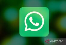 Cegah peretasan, ini cara efektif jaga akun WhatsApp Anda