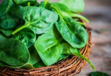 Berapa lama sayur bayam bertahan setelahnya dimasak? Hal ini adalah penjelasannya