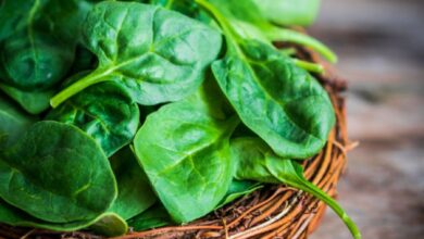 Berapa lama sayur bayam bertahan setelahnya dimasak? Hal ini adalah penjelasannya