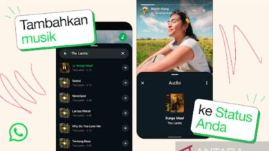 10 layanan rahasia WhatsApp yang mana dimaksud jarang diketahui pengguna
