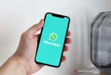 Cara menonaktifkan WhatsApp sementara tanpa matikan data seluler