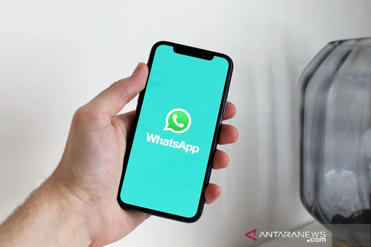 Cara menonaktifkan WhatsApp sementara tanpa matikan data seluler