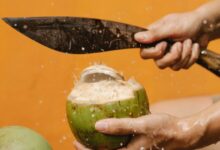 Membantu perkembangan janin, ini khasiat air kelapa untuk ibu hamil