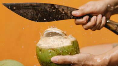 Membantu perkembangan janin, ini khasiat air kelapa untuk ibu hamil