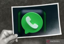 Cara lihat arahan WhatsApp terhapus dengan sarana notifikasi Android